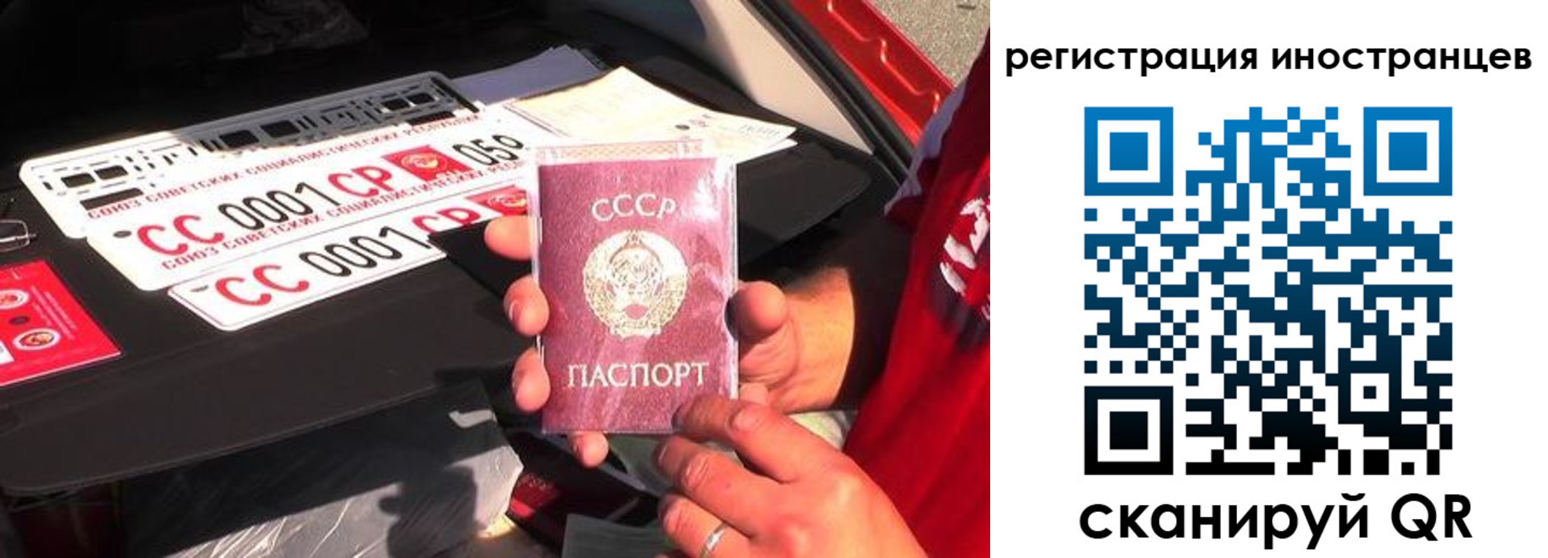 прописка гарантия в Владимирской области